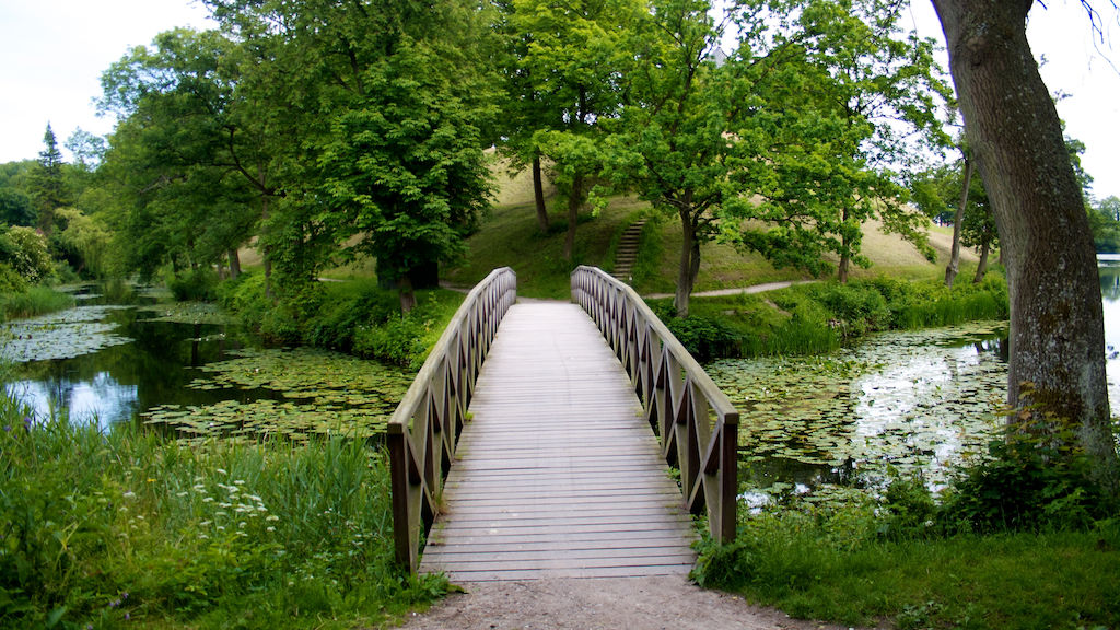 Naturbro på volden