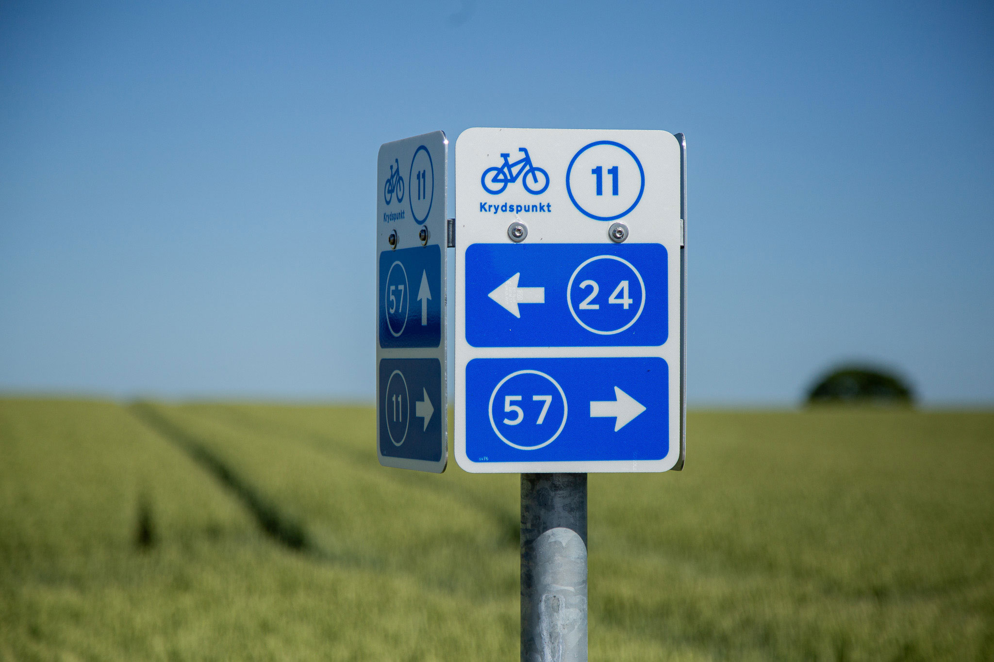 Krydspunkt cykelskilt