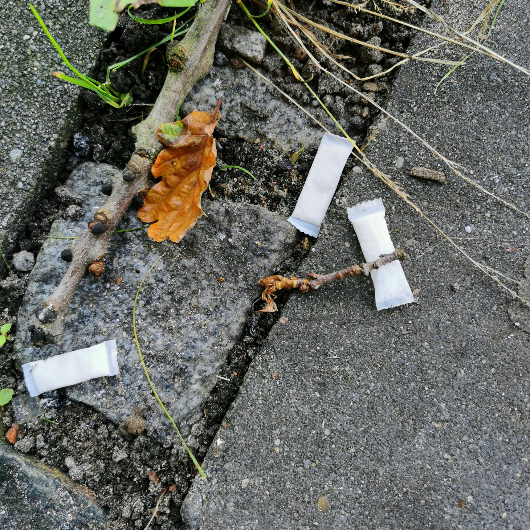 Snus på vejen i naturen