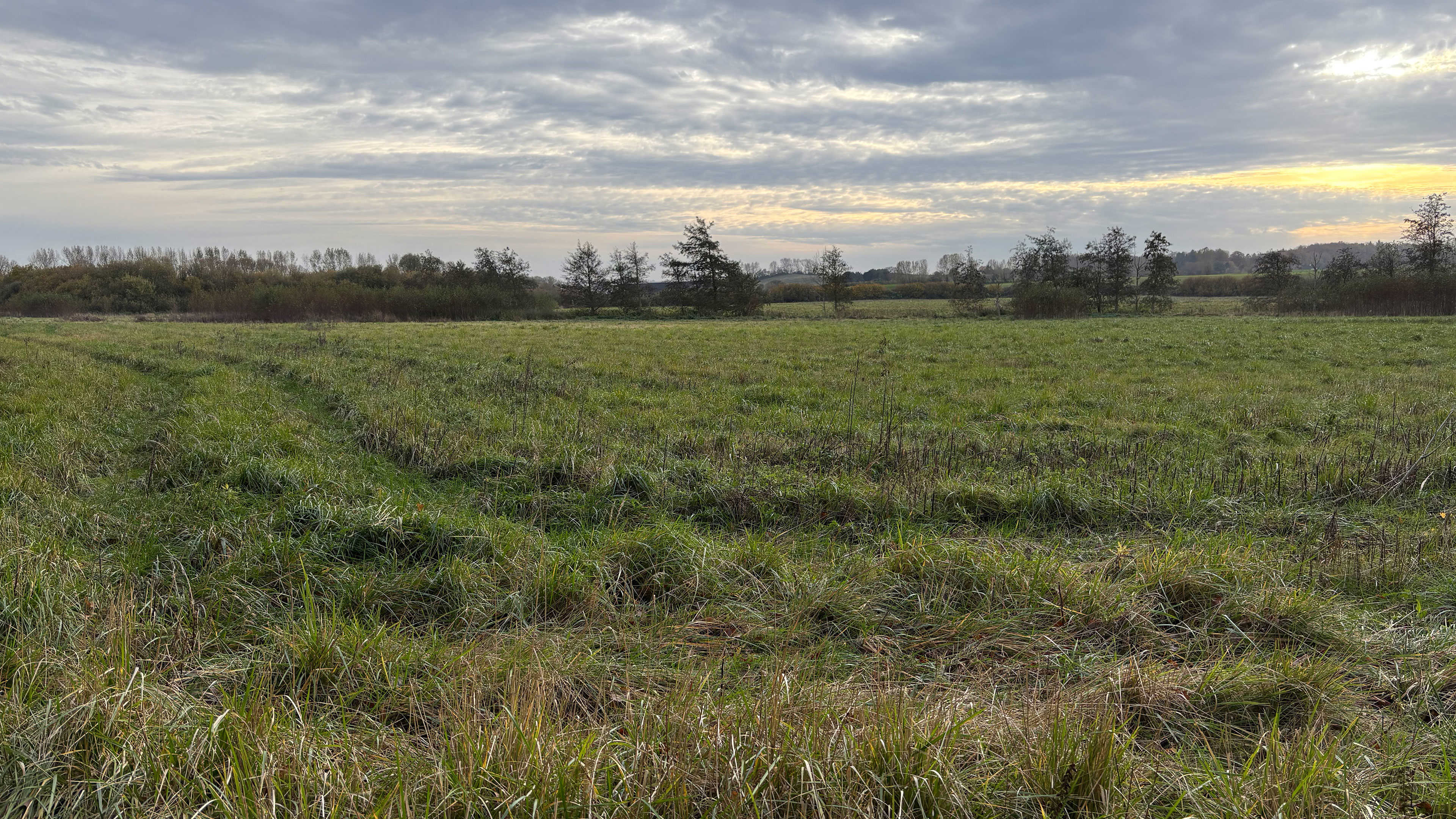 Mark ved Glorup Gods