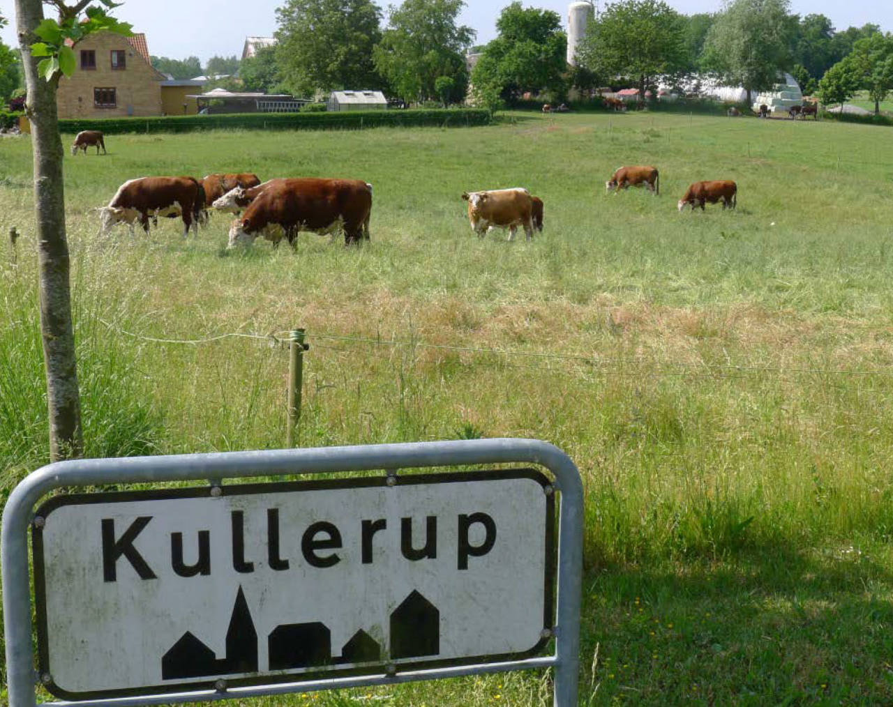 Kullerup byskilt med køer i baggrunden