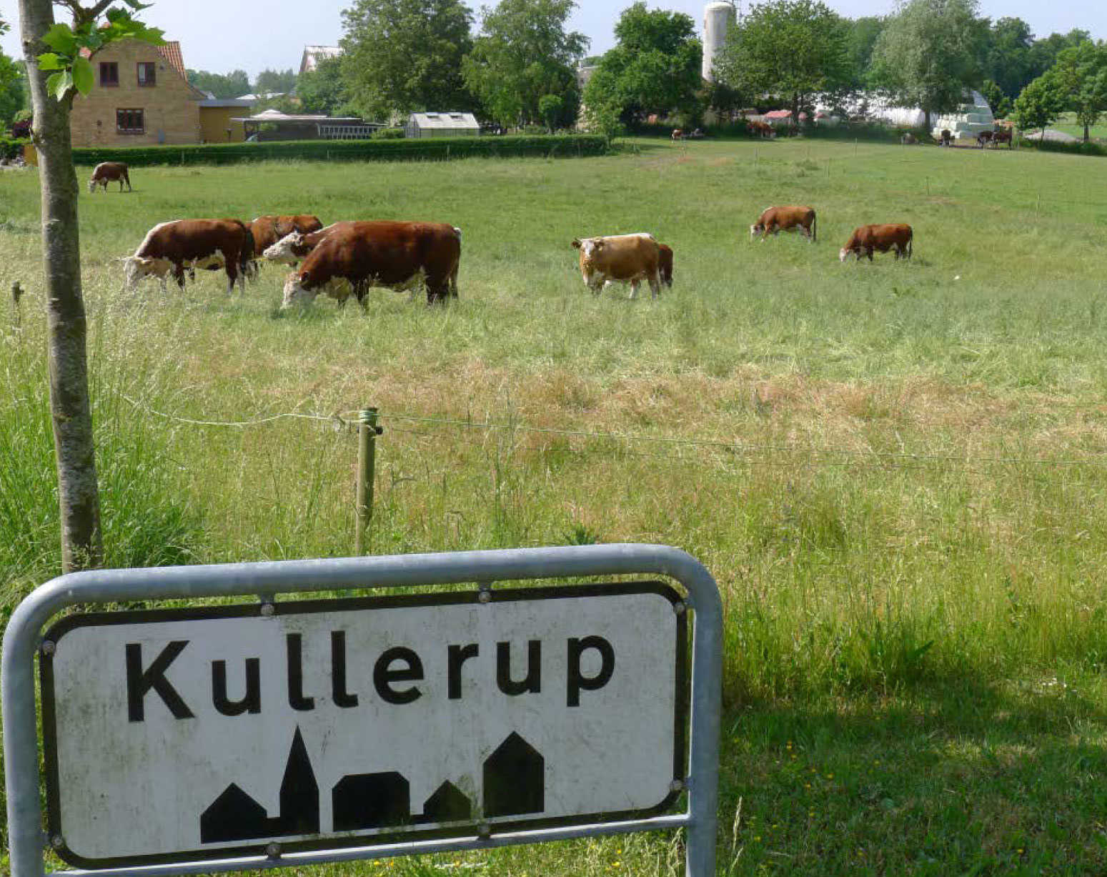 Kullerup byskilt med køer i baggrunden