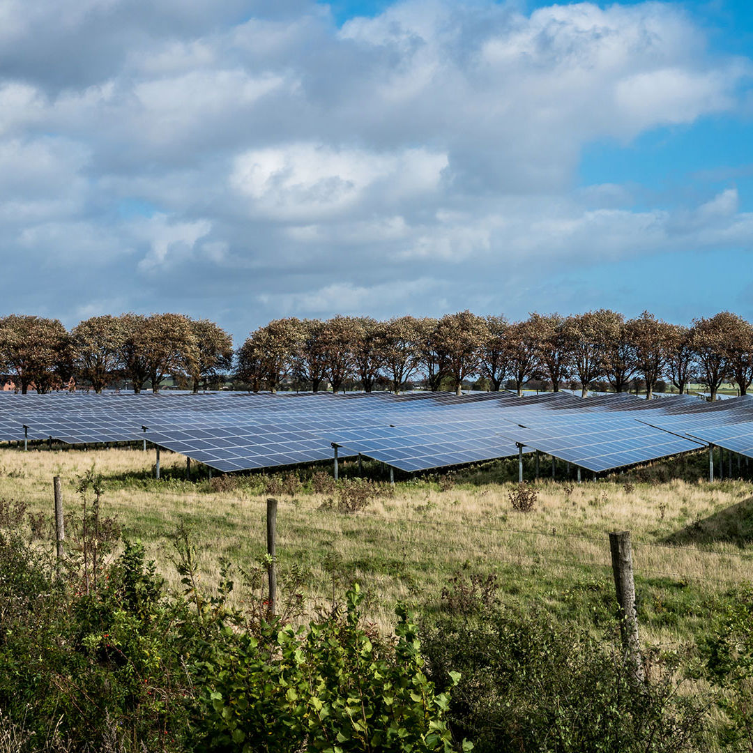 Solceller på en mark