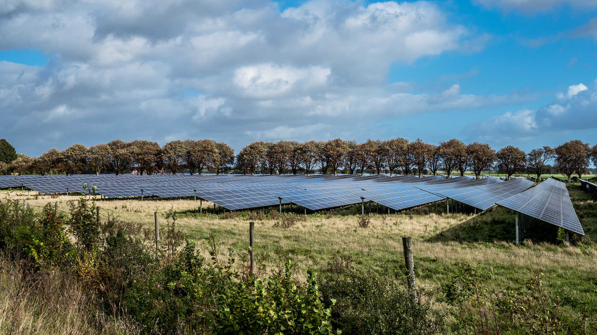 Solceller på en mark