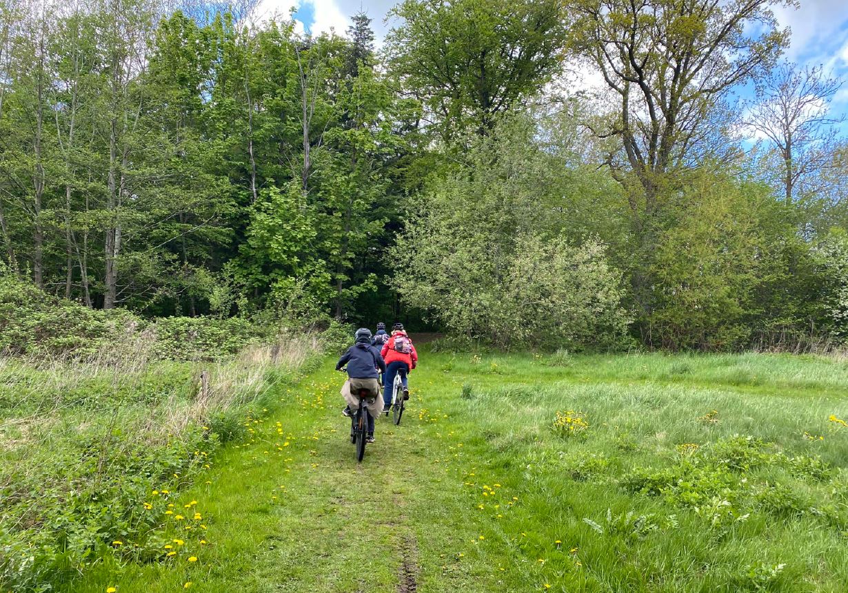 Grønne arealer i Ullerslev