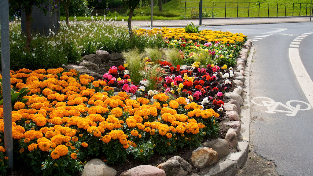 Smukt blomsterbed i Nyborg