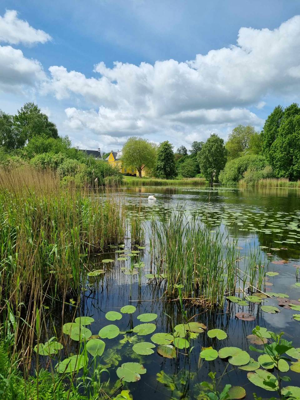 Åkander ved Lykkesholm Slot