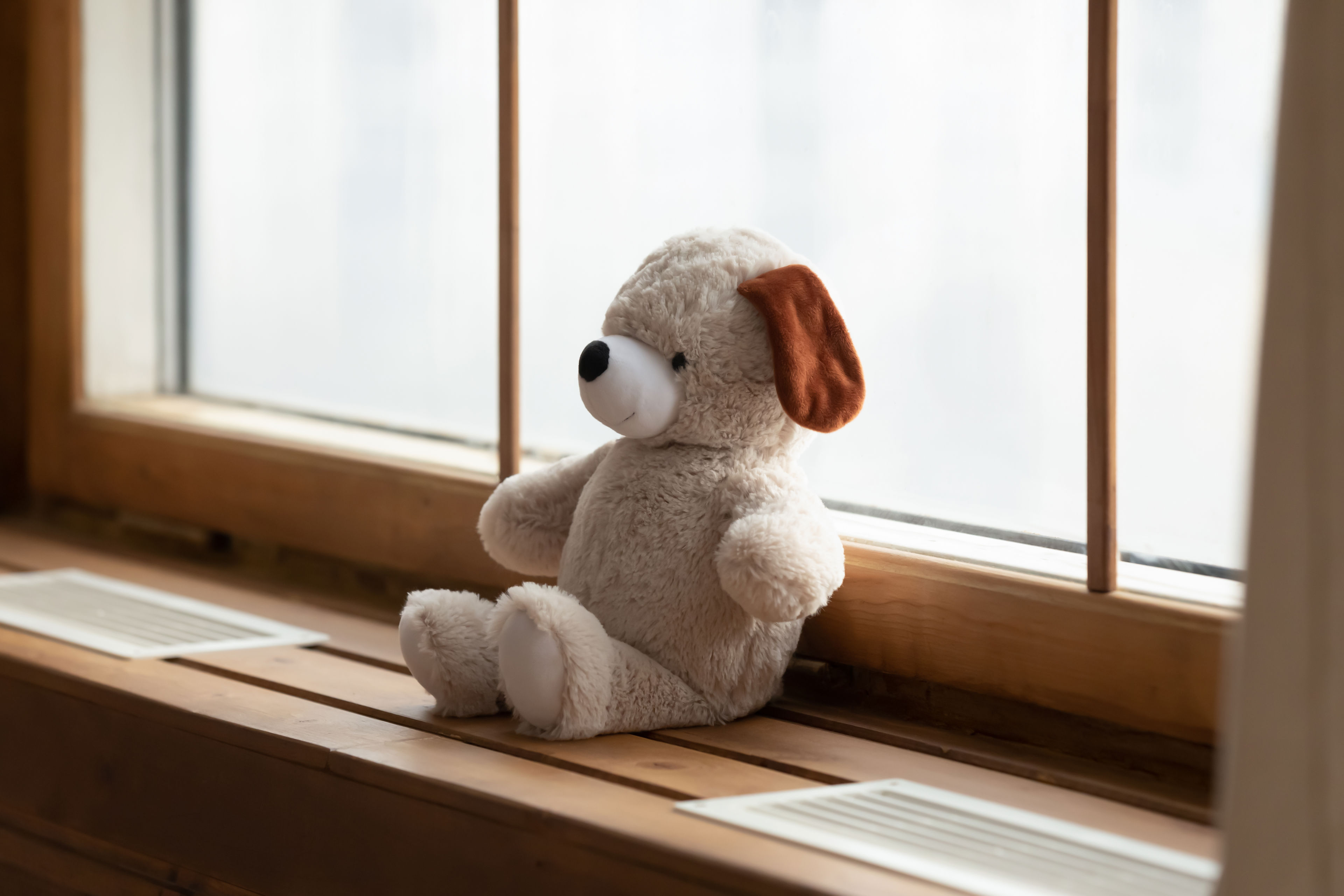 Bamse i vindueskarm