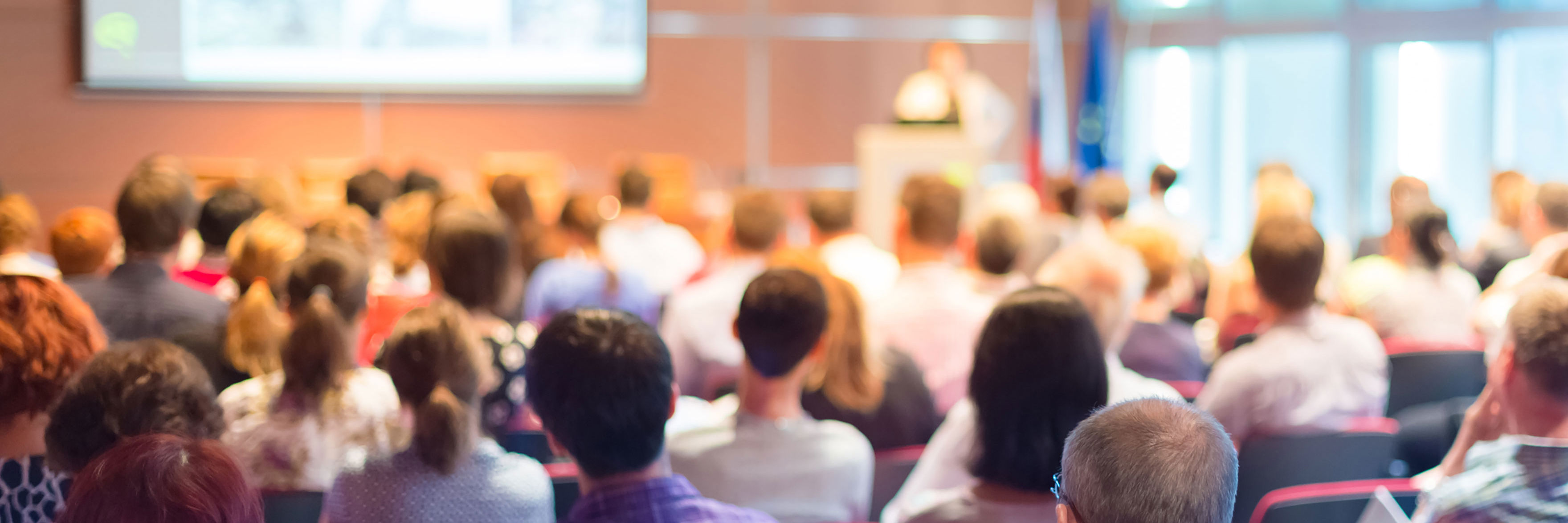 Ryggen af folk der sidder til en konference