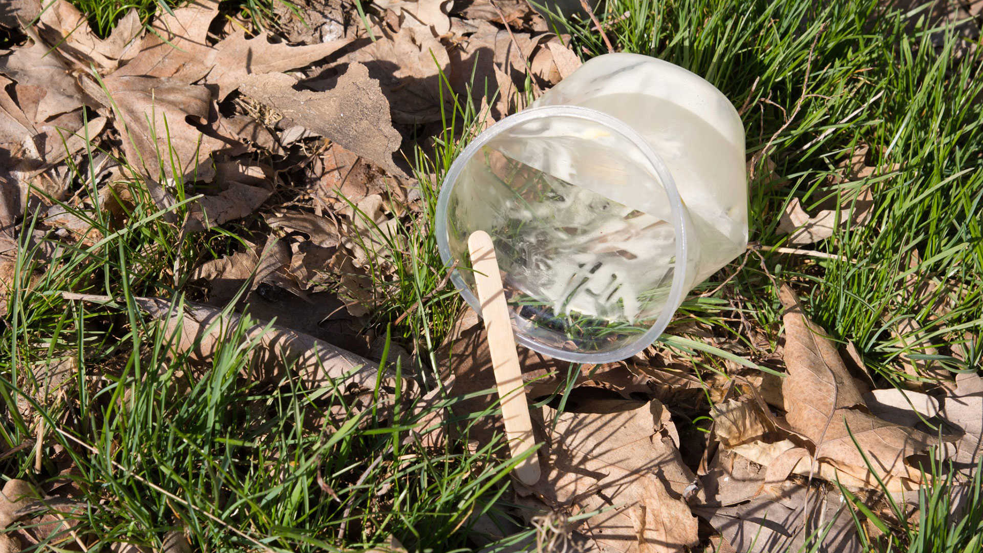 Affald der ligger i naturen