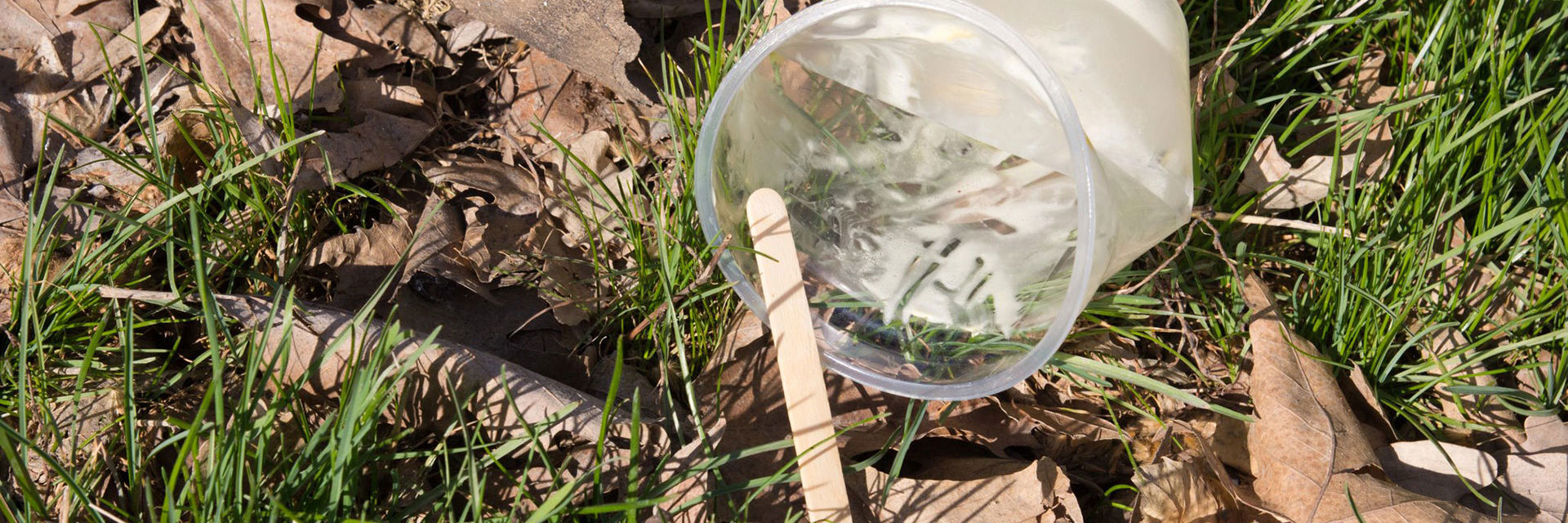 Affald der ligger i naturen