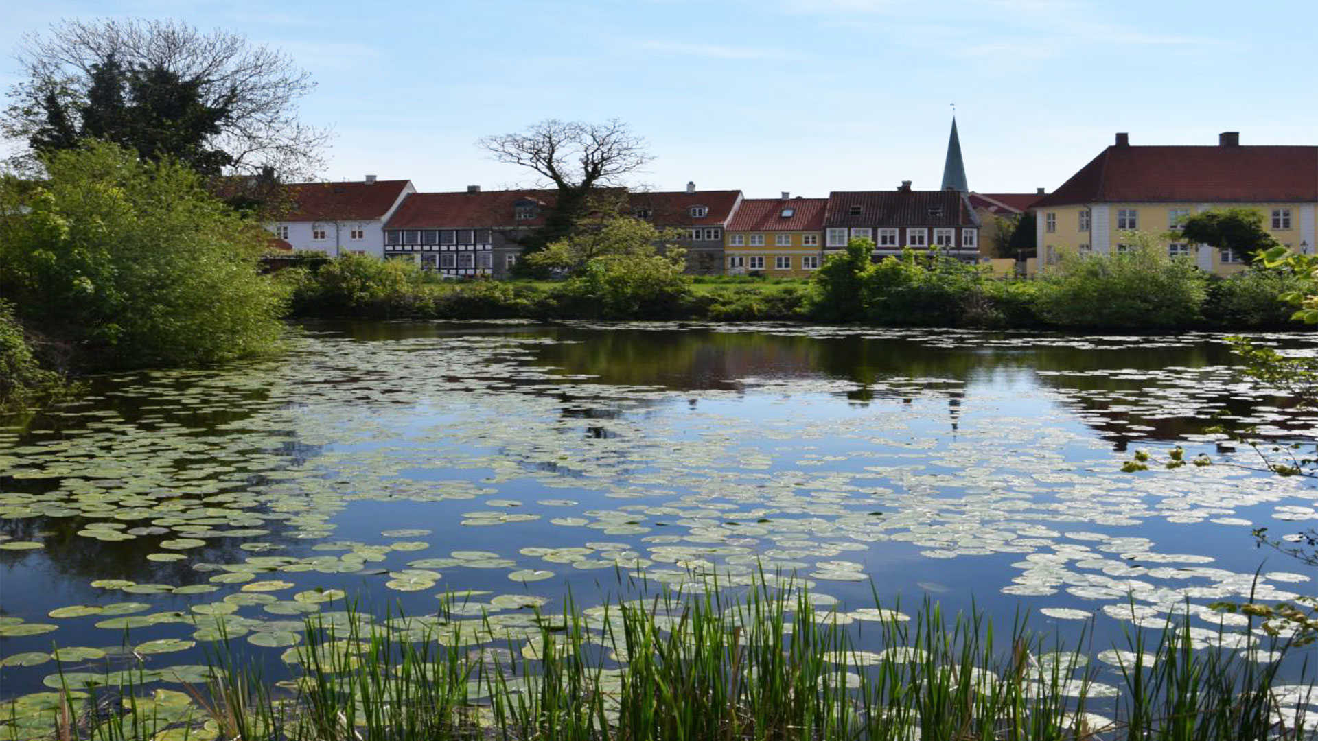 Voldgraven bag Nyborg Bibliotek ved Slotsgade