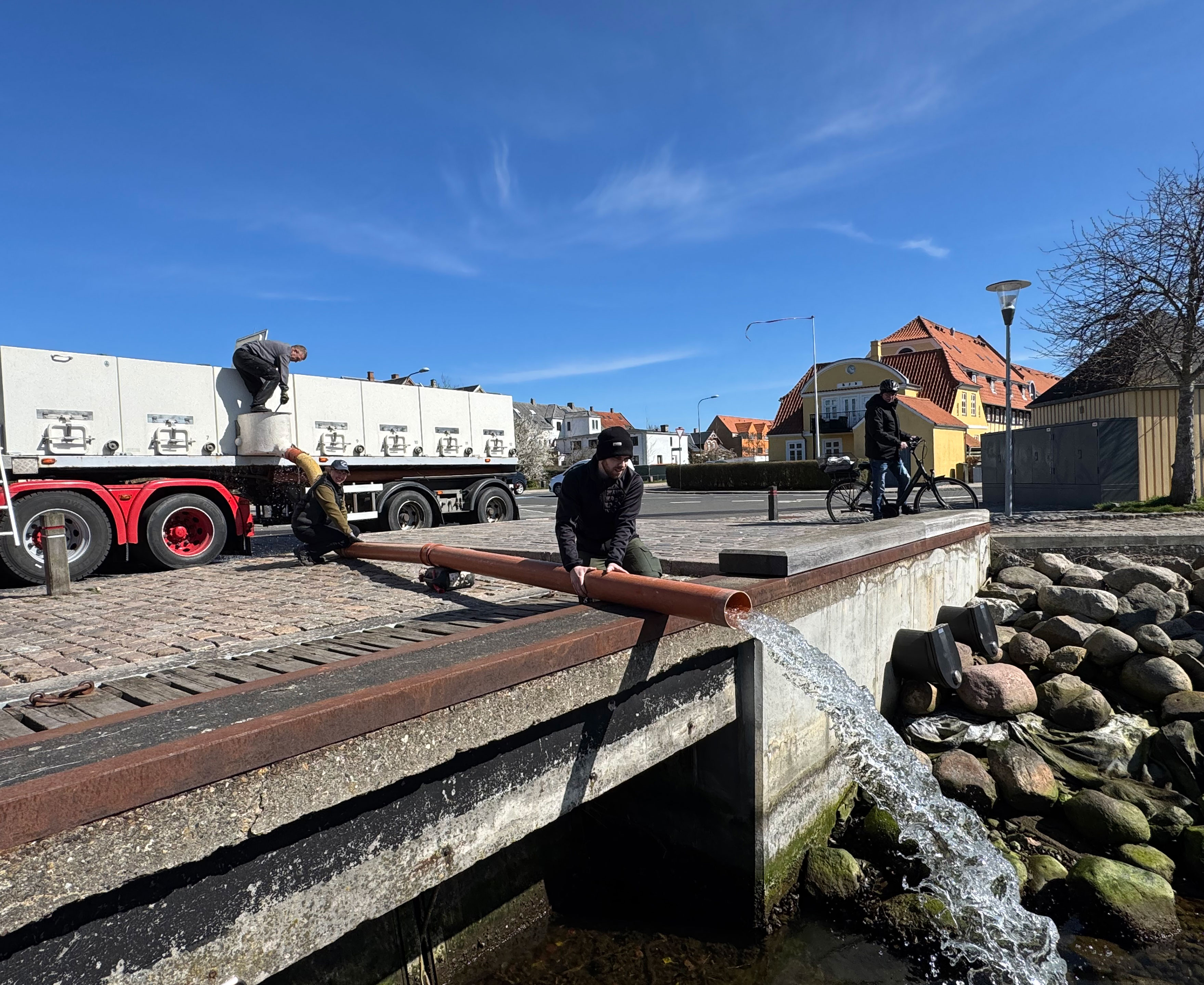 Der udsættes små havørreder i Nyborg Havn