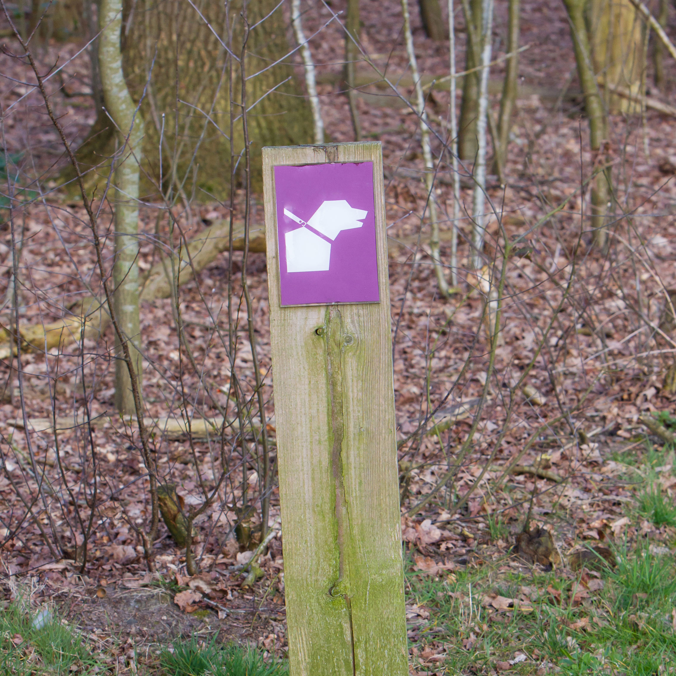 Skilt i skoven - sådan færdes du i naturen