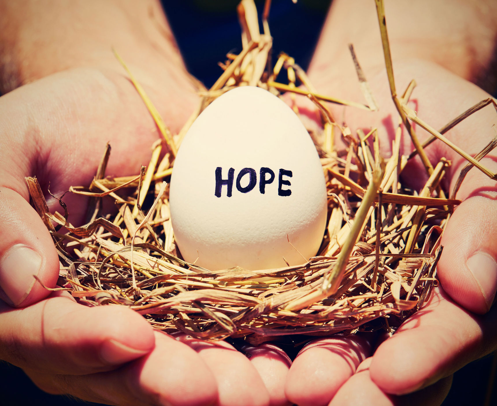 Rede i hænder med et æg hvor der står HOPE