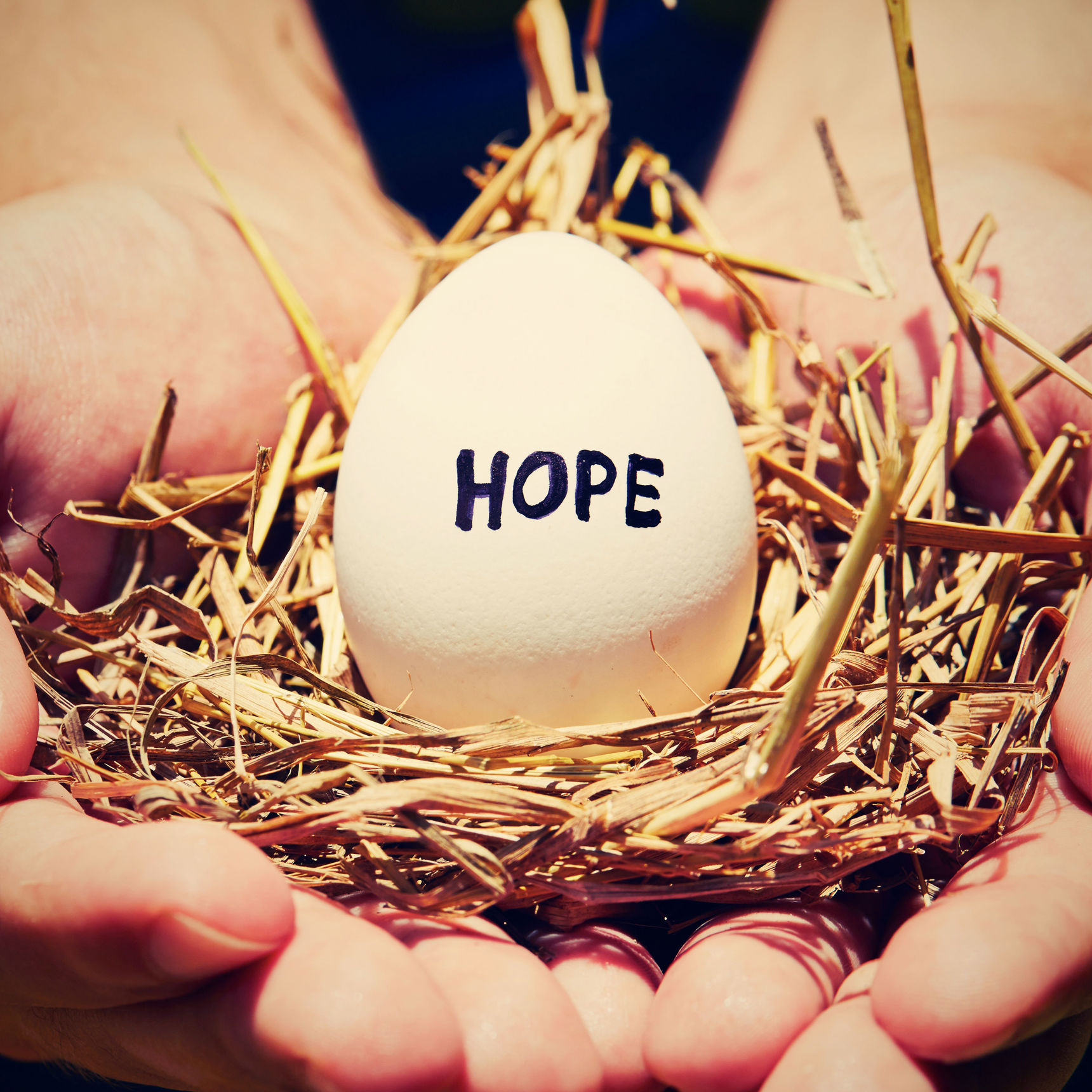 Rede i hænder med et æg hvor der står HOPE