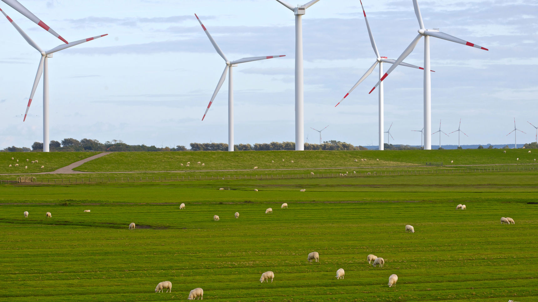 En mark med vindmøller og får