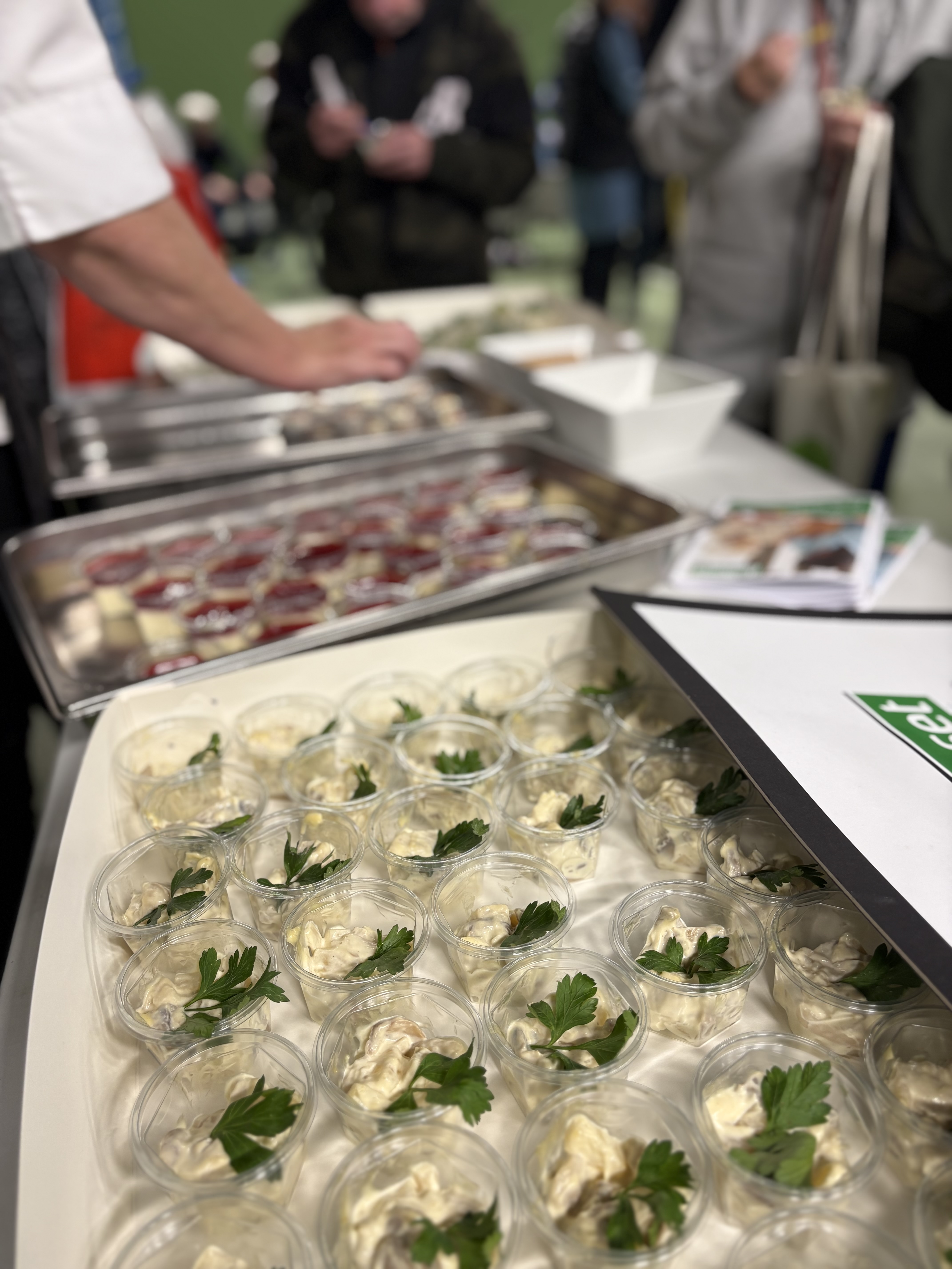 Seniorlivsmesse 2025