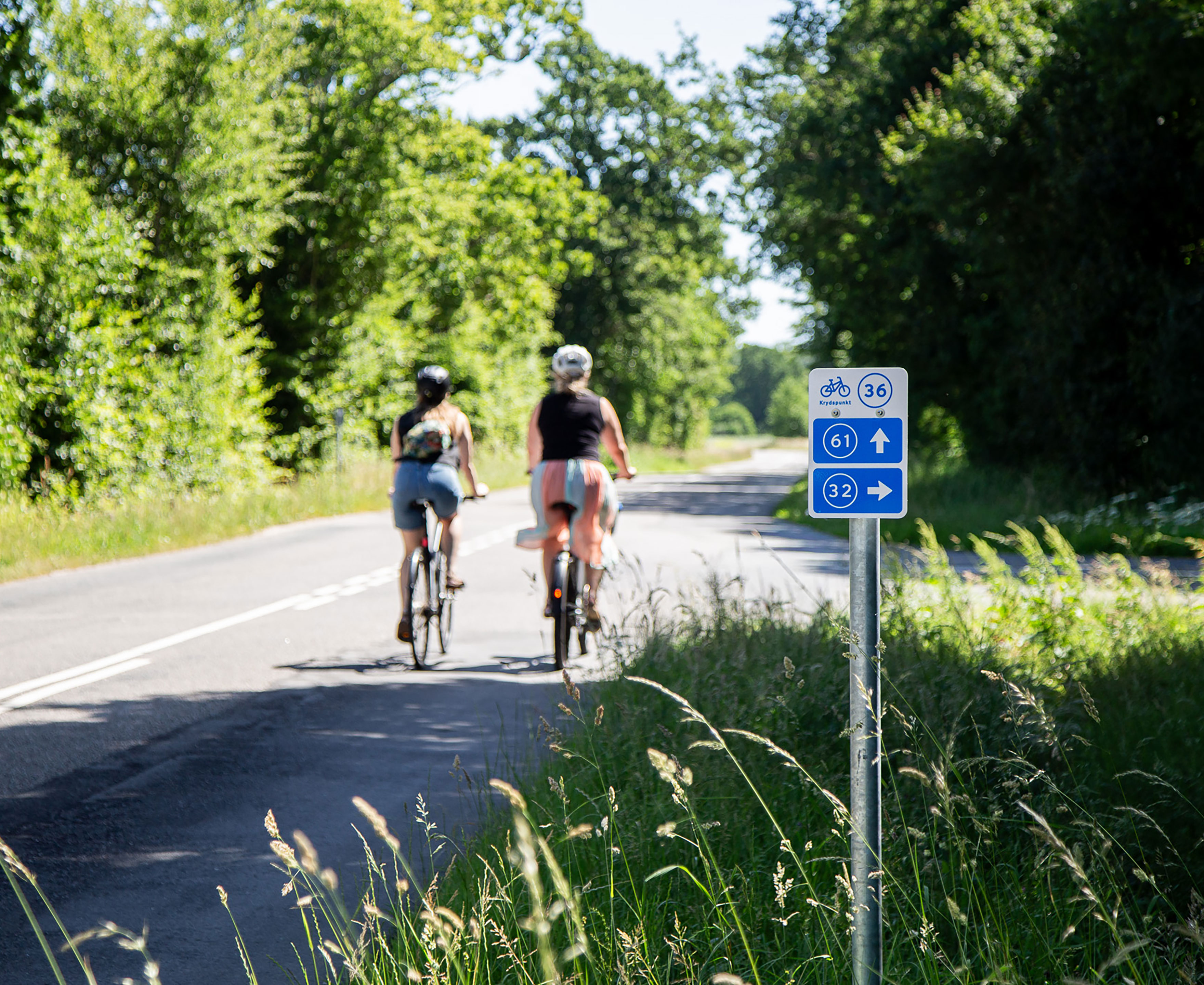 Ryggen af to cyklister og et krydsfelt cykelskilt i fokus
