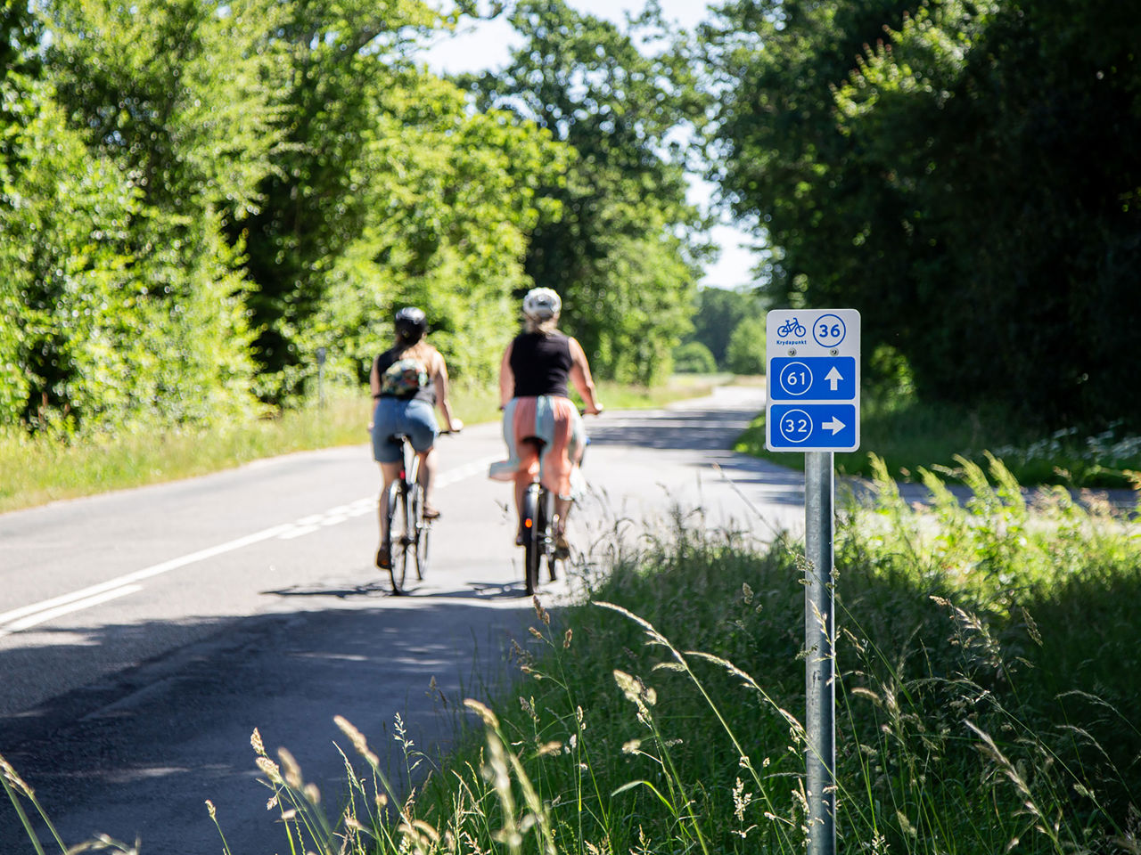 Ryggen af to cyklister og et krydsfelt cykelskilt i fokus