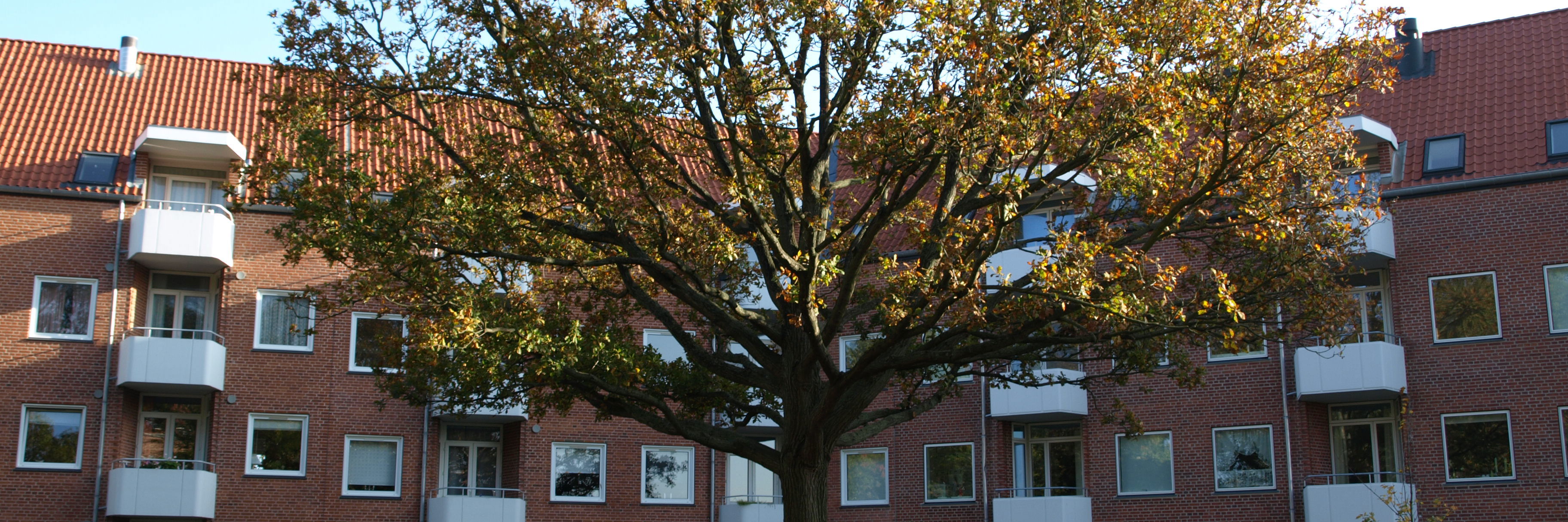 Lejligheder i Sprotoften