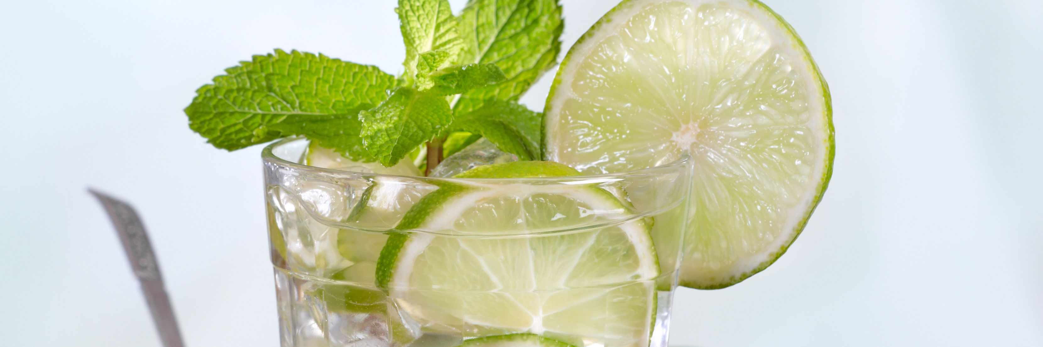 Mojito drink