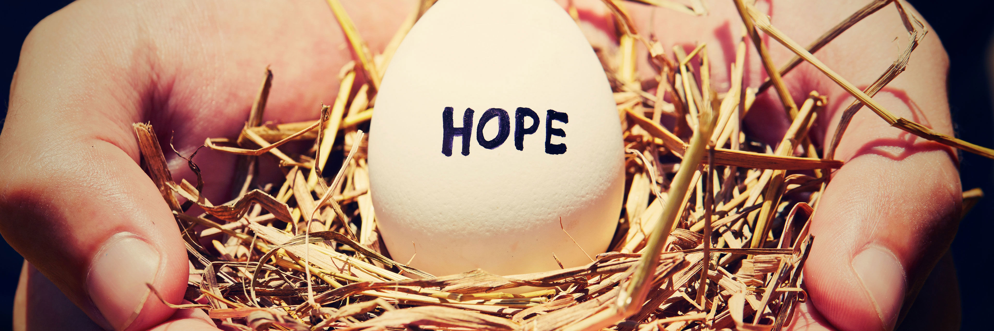 Hænder der holder en rede med et æg, hvor der står HOPE