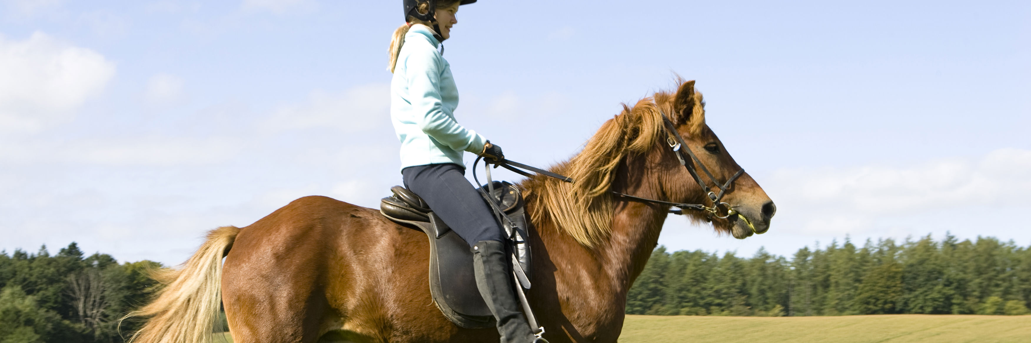 Pige der ridder på en hest