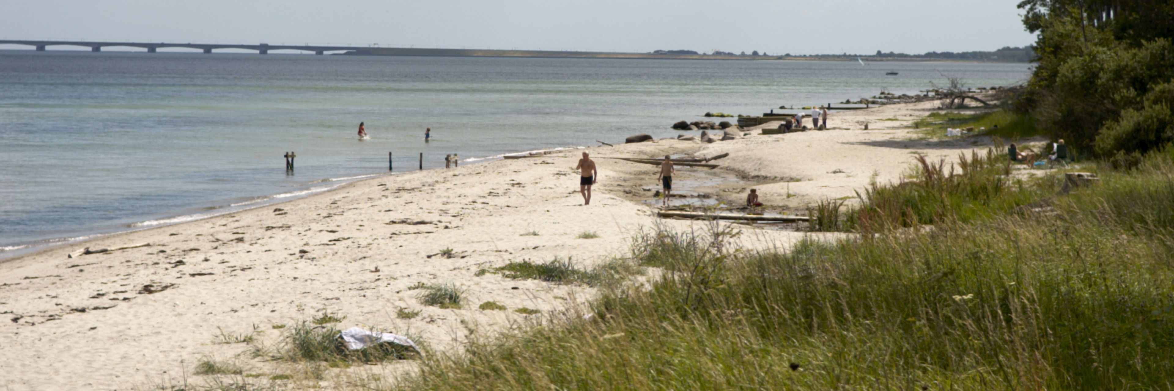 Stranden ved Teglværksskoven