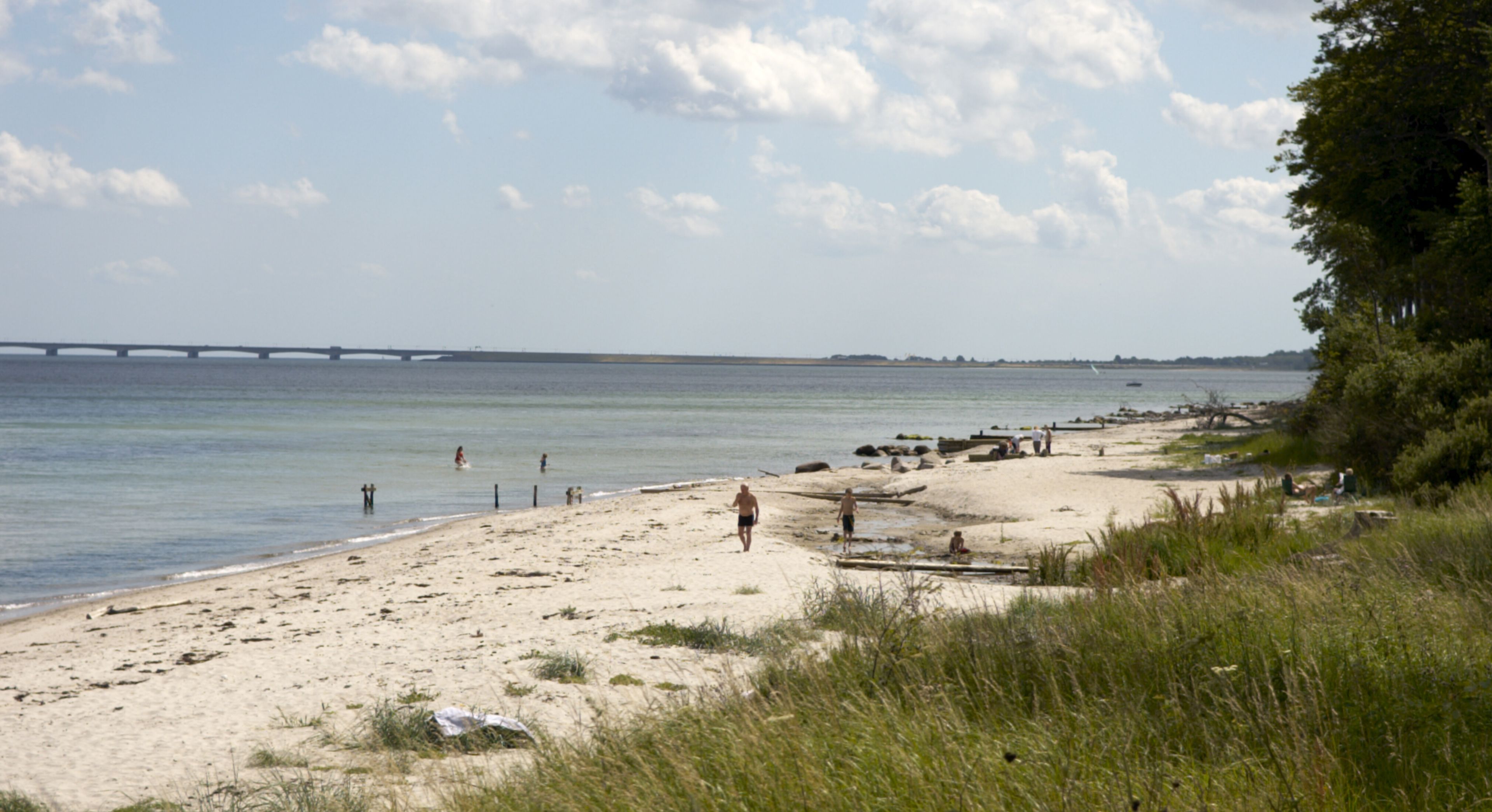 Stranden ved Teglværksskoven