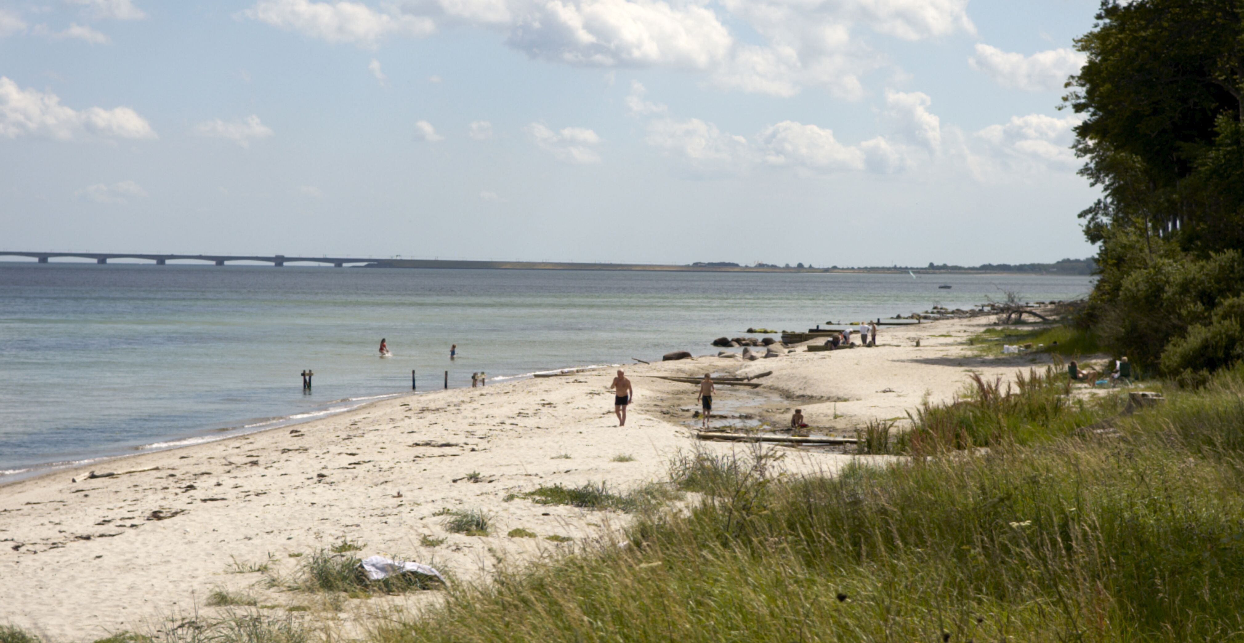 Stranden ved Teglværksskoven